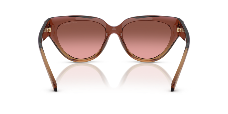 Michael Kors BOCA RATON in Dusty Rose Light Brown / Brown Rose Gradient (325611) - Alternate View