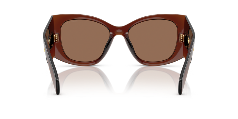 Michael Kors COSTA BLANCA in Brown Transparent / Brown Solid (402173) - Alternate View