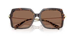Dark/Cream Tortoise / Brown Solid (395173)