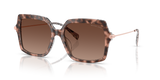 Pink Tortoise / Brown Gradient Polarized (4017T5)