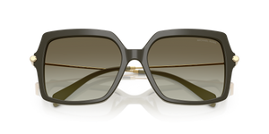 Olive Smoke / Olive Gradient (40193M)
