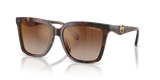 Luggage Tortoise / Brown Gradient Mirror Red (4031AO)