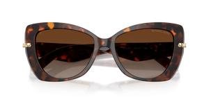 Luggage Tortoise / Brown Gradient Polarized (4031T5)