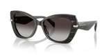 Black Horn / Light Grey Gradient (40348G)