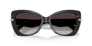 Black Horn / Light Grey Gradient (40348G)