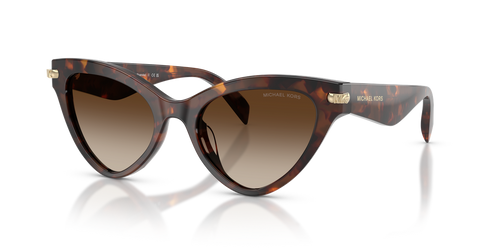 Luggage Tortoise / Smoke Gradient (403113)