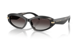 Black Horn / Light Grey Gradient (40348G)