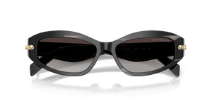 Black Horn / Light Grey Gradient (40348G)
