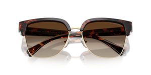 Dark Tortoise / Smoke Gradient (300613)