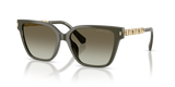 Olive / Green Gradient (39023M)