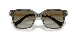 Olive / Green Gradient (39023M)