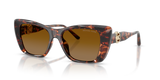 Luggage Tortoise / Brown Gradient Polarized (40319P)
