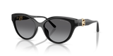 Black / Grey Polarized (3005T3)