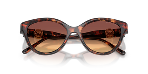 Luggage Tortoise / Brown Gradient (403178)