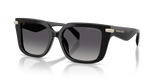 Black / Grey Polarized (3005T3)