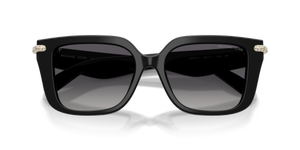 Black / Grey Polarized (3005T3)