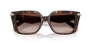 Luggage Tortoise / Smoke Gradient (403113)