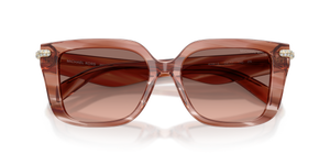 Pink Horn / Brown Pink (405613)