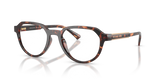 Dark Tortoise / Smoke Gradient (300613)