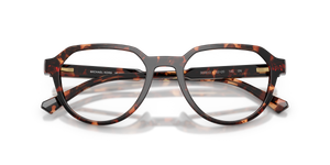 Dark Tortoise / Smoke Gradient (300613)