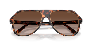 Dark Tortoise / Smoke Gradient (300613)