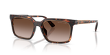 Dark Tortoise / Smoke Gradient (300613)