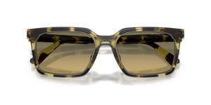Olive Tortoise / Olive Gradient (4029L0)