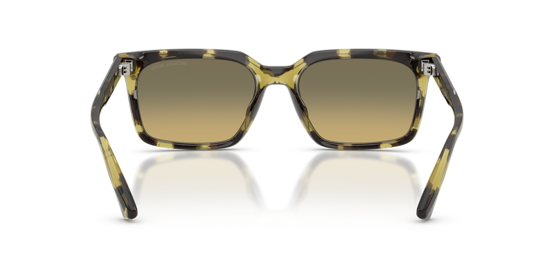 Michael Kors HONOLULU in Olive Tortoise / Olive Gradient (4029L0) - Alternate View
