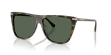 Sage Tortoise / Green (394771)