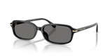 Black / Dark Grey Polarized (300581)