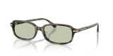 Sage Tortoise / Green (3947/2)