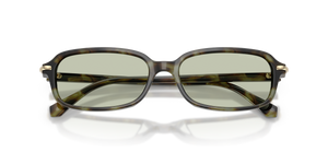 Sage Tortoise / Green (3947/2)
