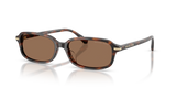 Mahogany Tortoise / Brown (403973)