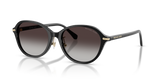 Black / Grey Gradient (30058G)