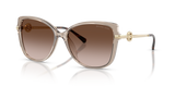 Beige Transparent / Brown Gradient (394013)