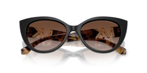 Black / Brown Gradient (300513)