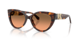 Luggage Tortoise / Grey Orange Gradient (403118)