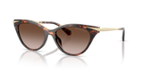 Luggage Tortoise / Brown Gradient (403113)