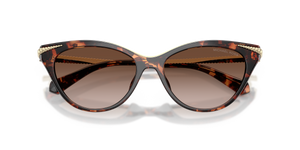 Luggage Tortoise / Brown Gradient (403113)