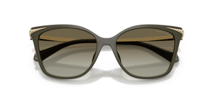 Olive / Olive Gradient (39028E)