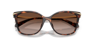 Luggage Tortoise / Brown Gradient (403113)