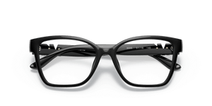 Black / Demo Lens (3005)