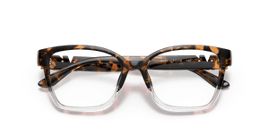 Tortoise / Demo Lens (3911)