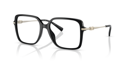 Black / Demo Lens (3005)