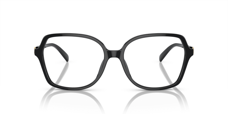 Michael Kors BERNAL in Black / Demo Lens (3005) - Alternate View