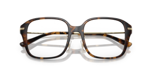 Dark Tortoise / Demo Lens (3006)