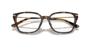 Dark Tortoise / Demo Lens (3006)
