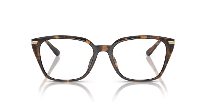 Michael Kors HAINAN in Dark Tortoise / Demo Lens (3006) - Alternate View