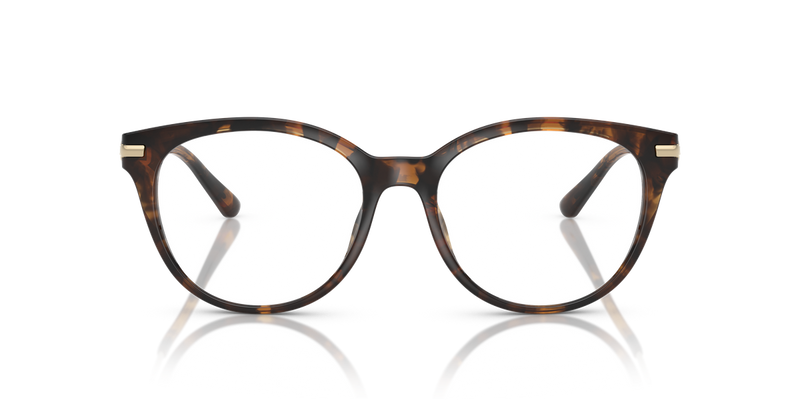 Michael Kors TORTOLA in Dark Tortoise / Demo Lens (3006) - Alternate View