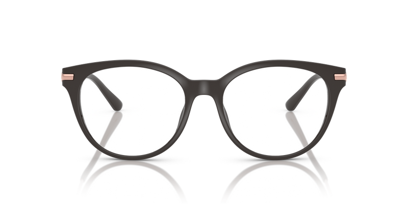 Michael Kors TORTOLA in Ash / Demo Lens (4003) - Alternate View